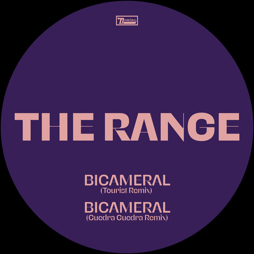 The Range – Bicameral (Remixes) (Domino)